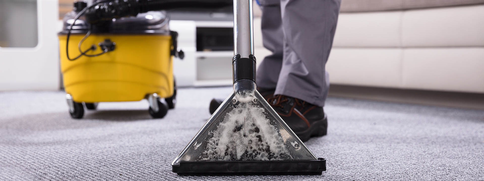 Clean my carpet with steam фото 78